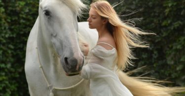 חלום על סוס